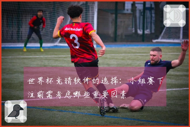 世界杯竞猜软件的选择：小组赛下注前需考虑哪些重要因素